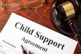 child support in collier county, florida