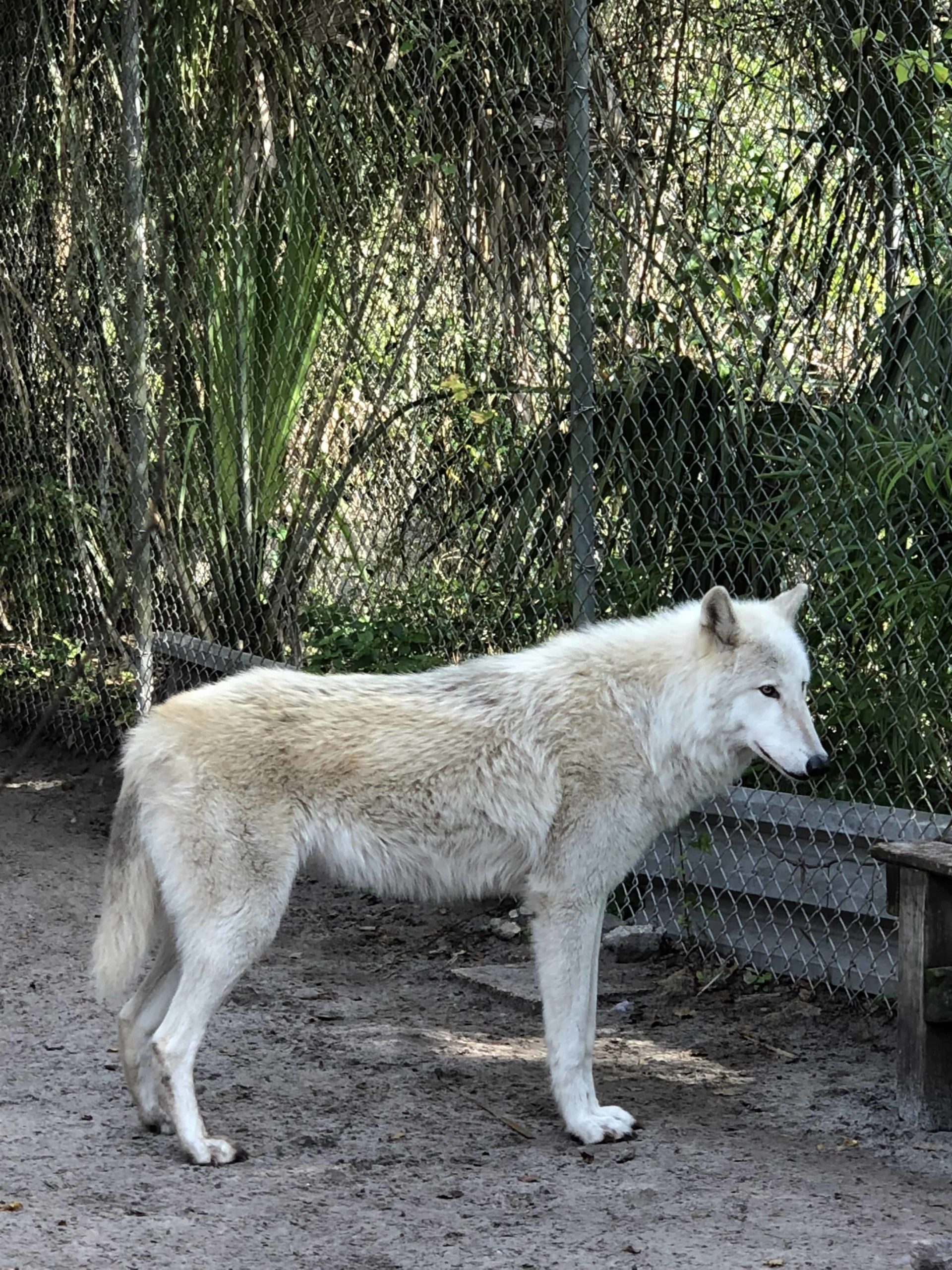 Parenting activities after a divorce in Naples, Florida